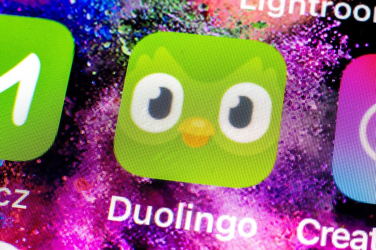 Duo the owl: Duolingo’s friendly, feathered ambassador  (Alamy Stock Photo)