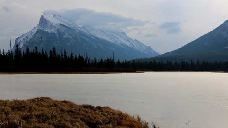 Illegal Banff camping on the rise as affordable housing crunch continues