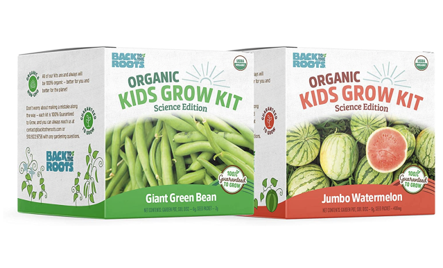 Back to The Roots Organic Terrarium Kids Grow Kit