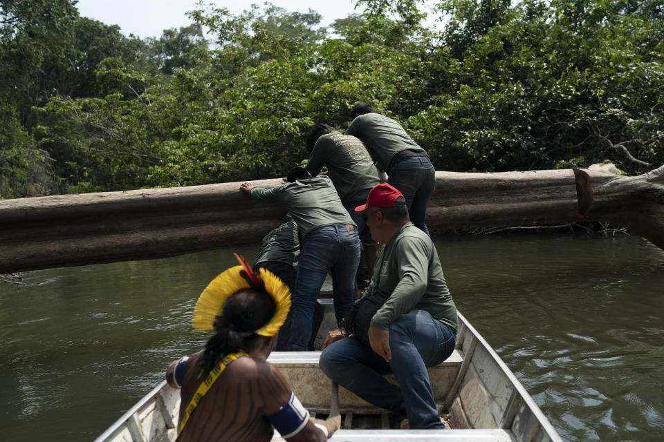 Krimej village indigenous Chief Kadjyre Kayapo, of the Kayapo indigenous community, left, and others work to pass a fallen tree on the Pitchacha River as he boats to a bridge constructed by loggers as they survey Menkragnotire indigenous land in Altamira, Brazil, Saturday, Aug. 31, 2019. Much of the deforestation in the Brazilian Amazon is done illegally -- land grabbers burn areas to clear land for agriculture and loggers encroach on national forests and indigenous reserves, and Kayapo says that he does not want loggers and prospectors on his land. (AP Photo/Leo Correa)