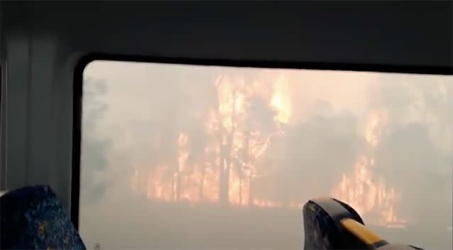 Bushland went up in flames. Source: YouTube/ Rohit Mahajan