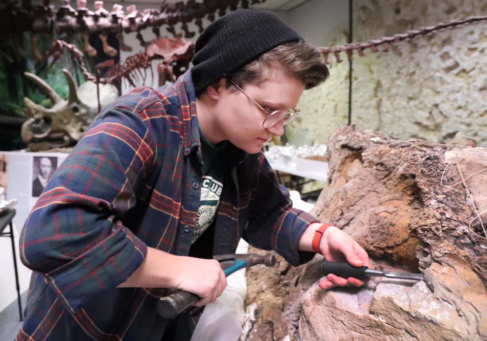 Mandi O’Grady works on a triceratops skull at Earth Experience - Middle Tennessee Museum of Natural History, to removed it from the rock, earth and plaster that it was incased in, on Thursday, Dec. 14, 2023.