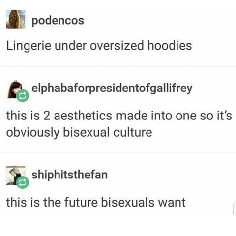 19) Bisexual memes