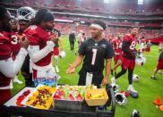 NFL: Arizona Cardinals-Training Camp