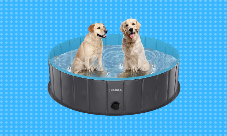 Let your pet get in on the summer fun. (Photo: Amazon)