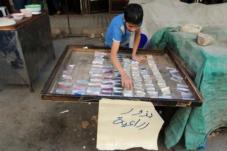 A boy arranges plant seeds in the beseiged rebel held area of Aleppo, Syria October 8, 2016. REUTERS/Abdalrhman Ismail