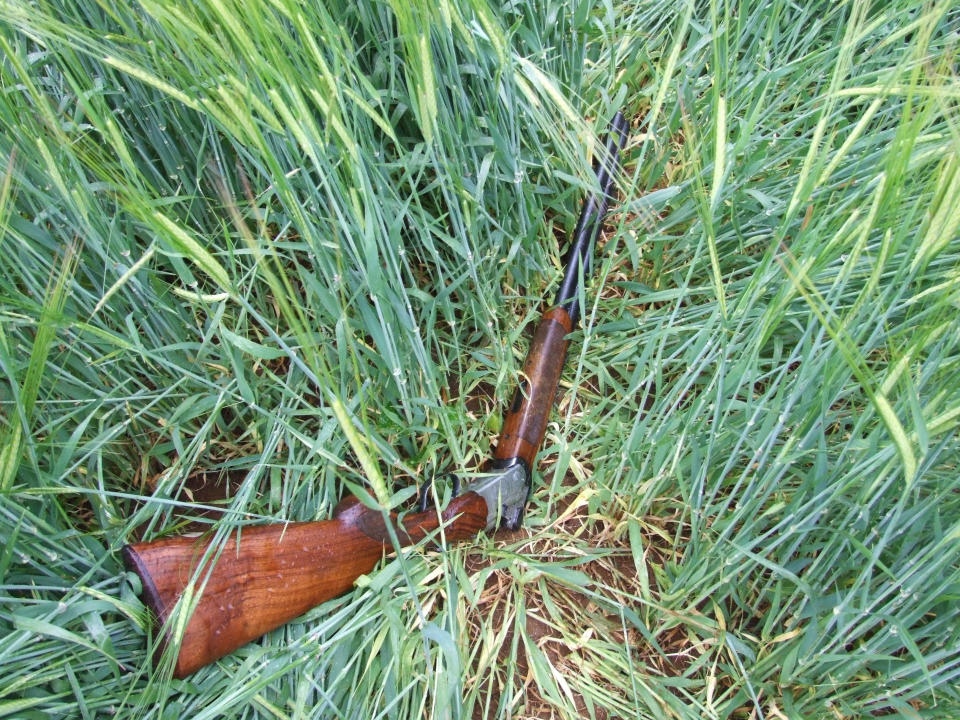 Library image: Sean Murphy claims he found the shotgun in a hedge.