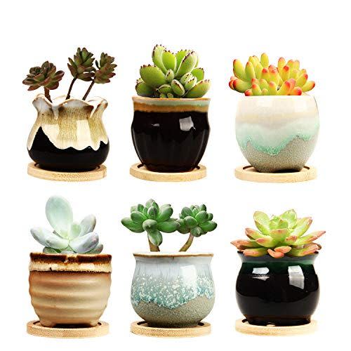 13) Brajttt 2.5-Inch Ceramic Succulent Planter Pots