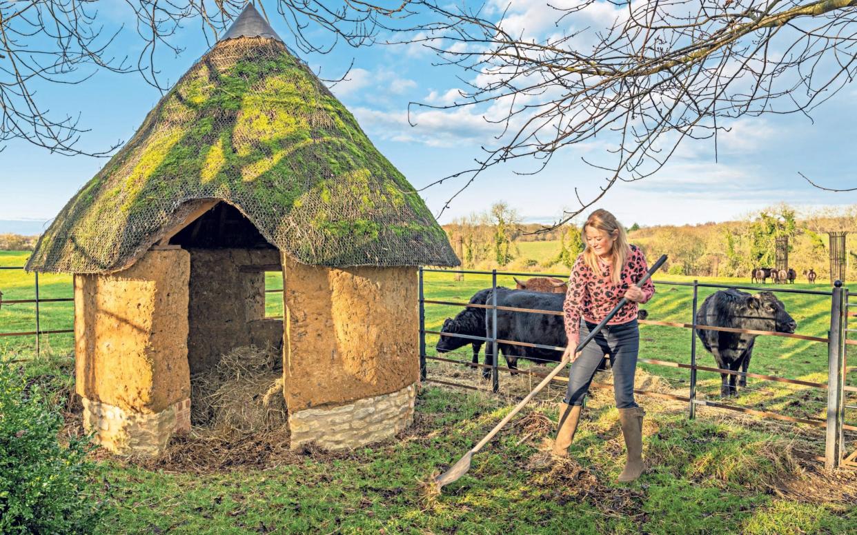 how to grow your own veg, garden on a budget, and a winter stew using kale - Andrew Crowley