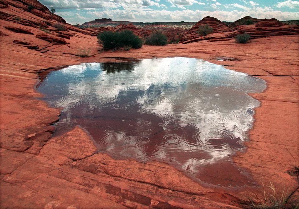 Coyote Buttes in Paria Wilderness. 