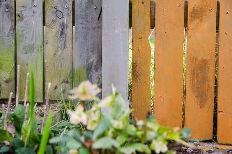 Painted fence