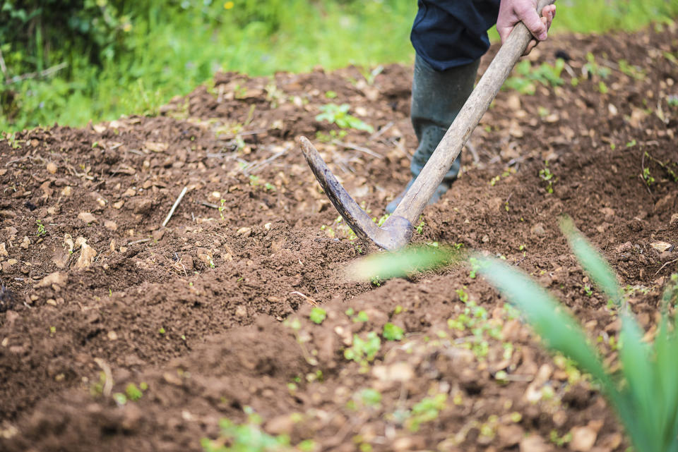 Men digging the ground with pickaxe, close up, selective focus