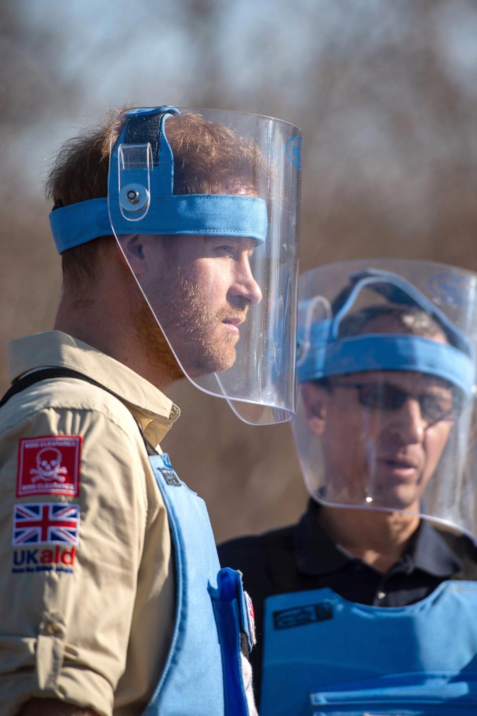 Prince Harry, Duke of Sussex