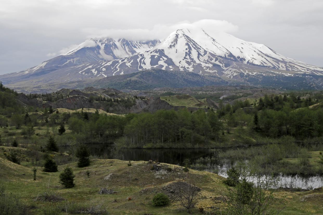 FILE - Mount St. Helens is seen from the Hummocks Trail, on May 18, 2020, in Washington state. More than 400 earthquakes have been detected beneath Washington's Mount St. Helens in recent months though there are no signs of an imminent eruption, according to the U.S. Geological Survey. Most of the quakes over a three-month span beginning in mid-July 2023 were less than magnitude 1.0 and too small to be felt at the surface, the agency reported last week. (AP Photo/Ted S. Warren, File)