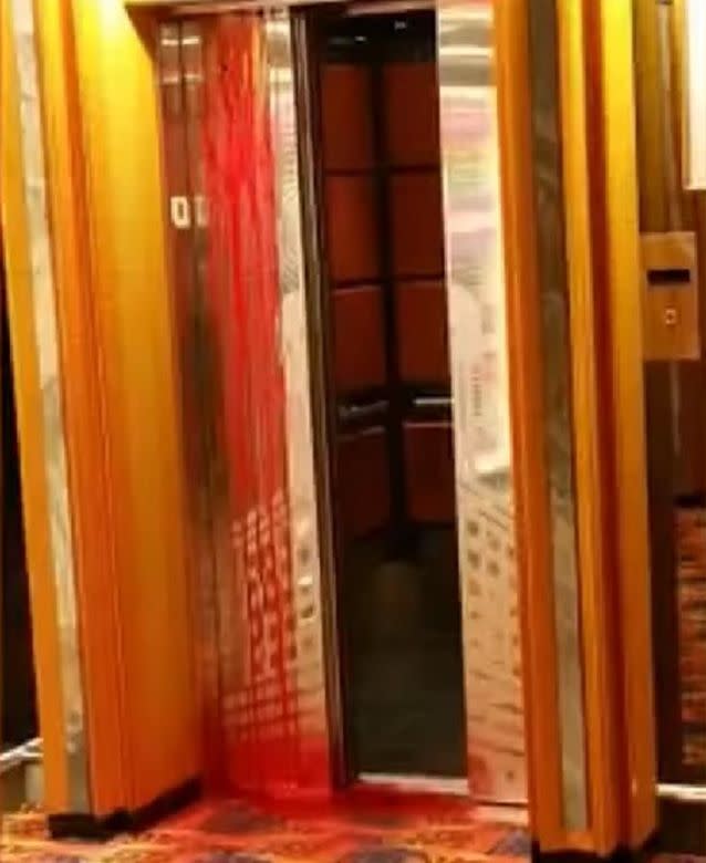 cruise ship elevator incident