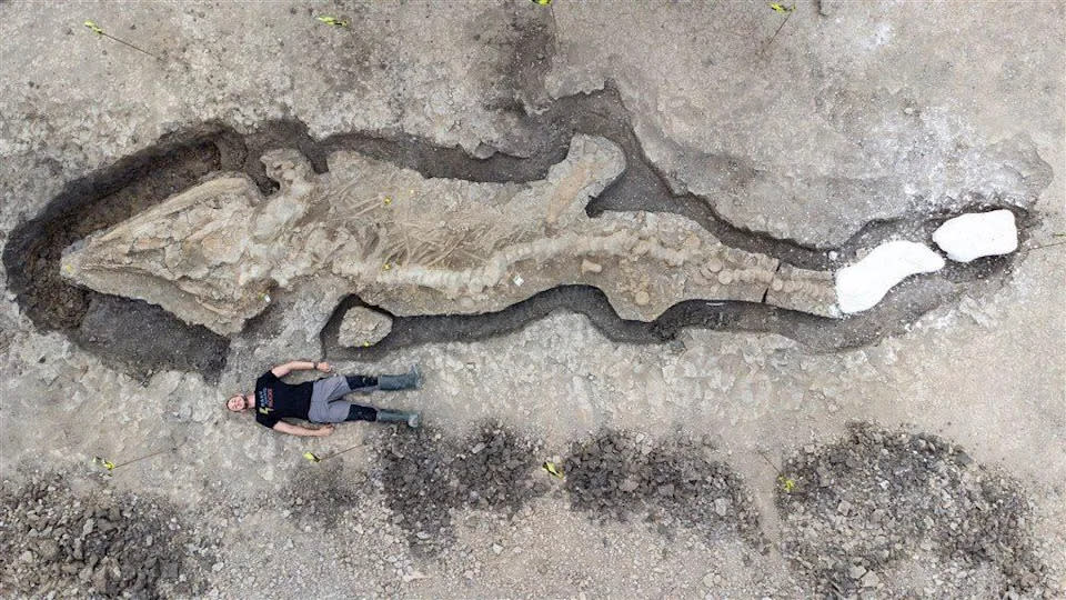 ▲英國中部拉特蘭水庫發現巨大的史前「海龍」化石，體型長達10公尺。（圖／RutlandWaterNR推特）