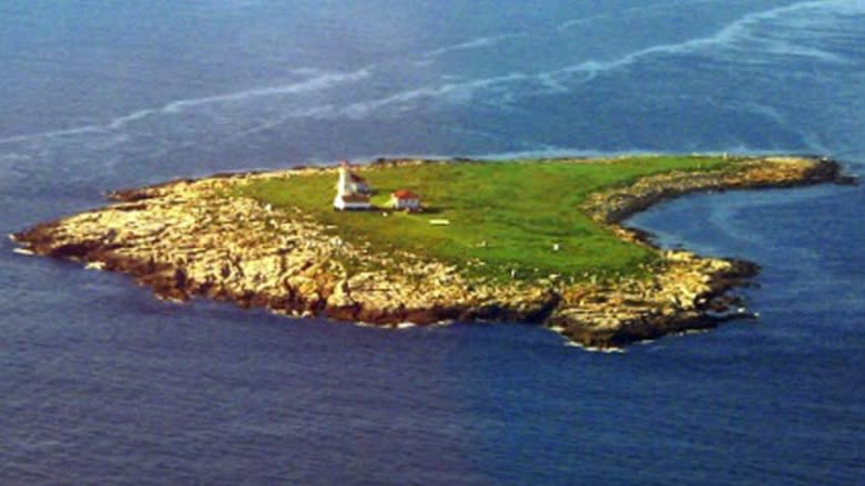 Puffin chicks on Machias Seal Island starve to death