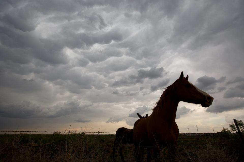 The Most Beautiful Nature Photos From Around the World