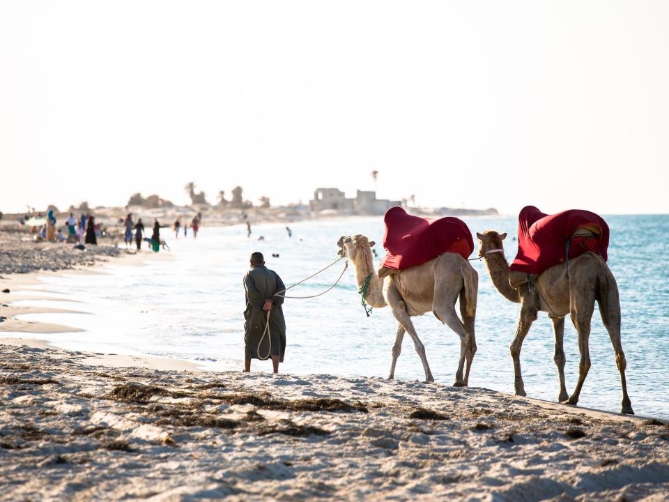 Man with camels on the beach, Djerba Tunisia