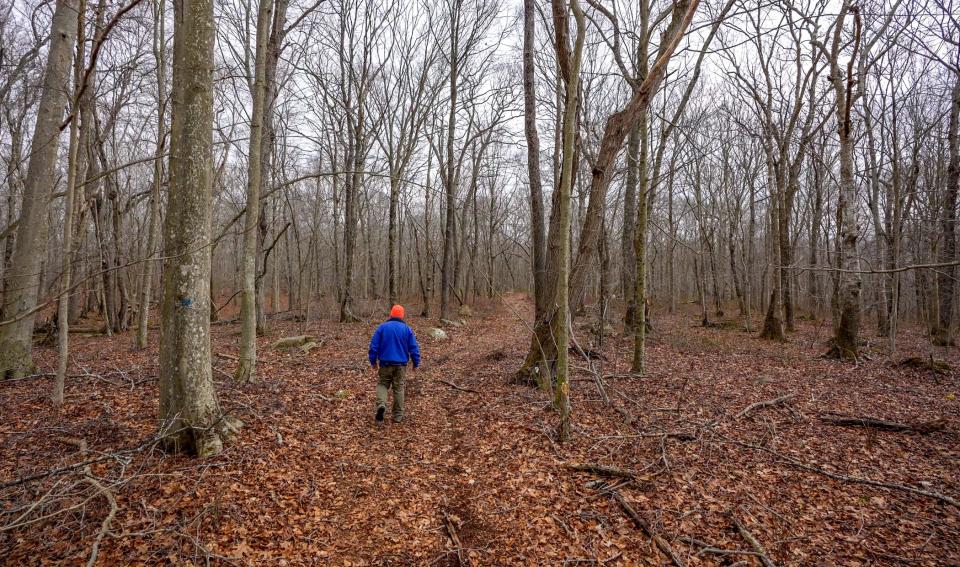 Scott Ruhren, senior director of conservation with Audubon in the state, walks a trail on the Congdon Wood property.