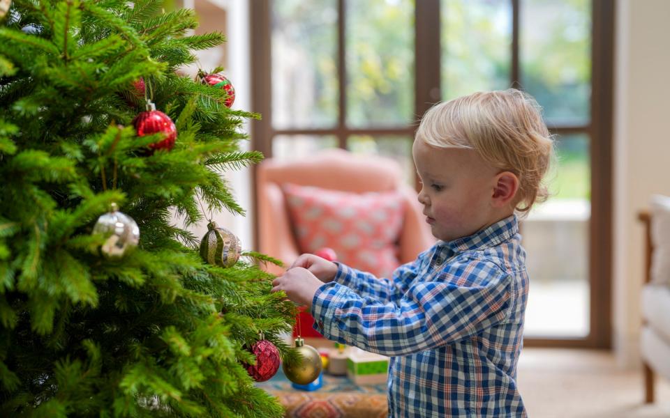 Anna's son Edgar hanging a hired bauble on the rented Christmas tree - Andrew Crowley