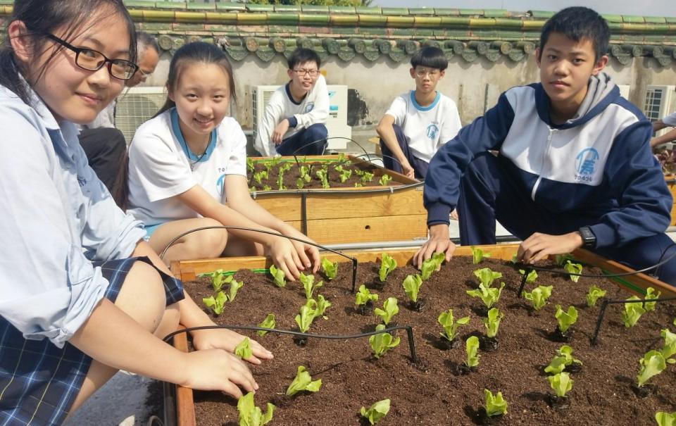 推廣食農教育，台北市介壽國中進行綠屋頂春耕活動。(陳國維 攝)