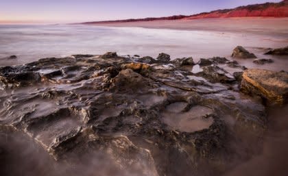 Dinosaur tracks in the Walmadany area.