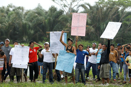 FILE PHOTO: Nicaraguan protesters stake their claim to Isla Portillos, a restricted swath of land near Costa Rica and Nicaragua's border, as a team of Costa Rican environment experts and representatives of the Ramsar Convention on Wetlands inspect the area for environmental damage April 5, 2011. REUTERS/Juan Carlos Ulate/File Photo