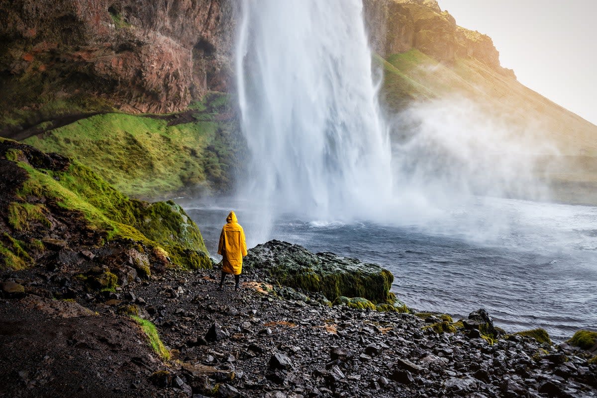 Seljalandsfoss waterfall, Iceland (Getty Images/iStockphoto)