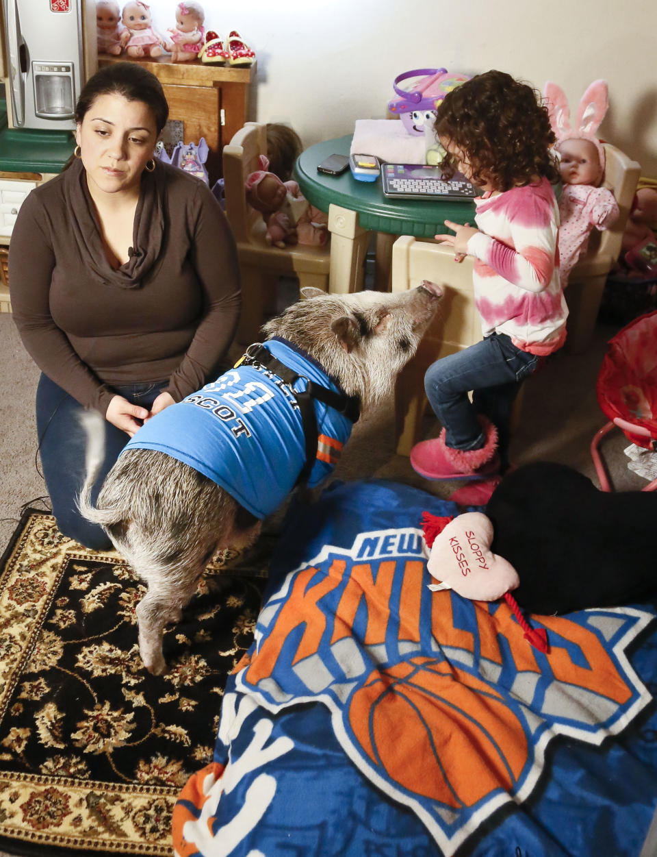 Danielle Forgione and her daughter Olivia, 3, with Petey, the family's pet pig next to his bed wrapped in a "Knick" blanket, on Thursday, March 21, 2013, in the Queens borough of New York. Forgione is scrambling to sell her second-floor apartment after a neighbor complained about 1-year-old Petey the pig to the co-op board. In November and December she was issued city animal violations and in January was told by both the city and her management office that she needed to get rid of the pig. (AP Photo/Bebeto Matthews)