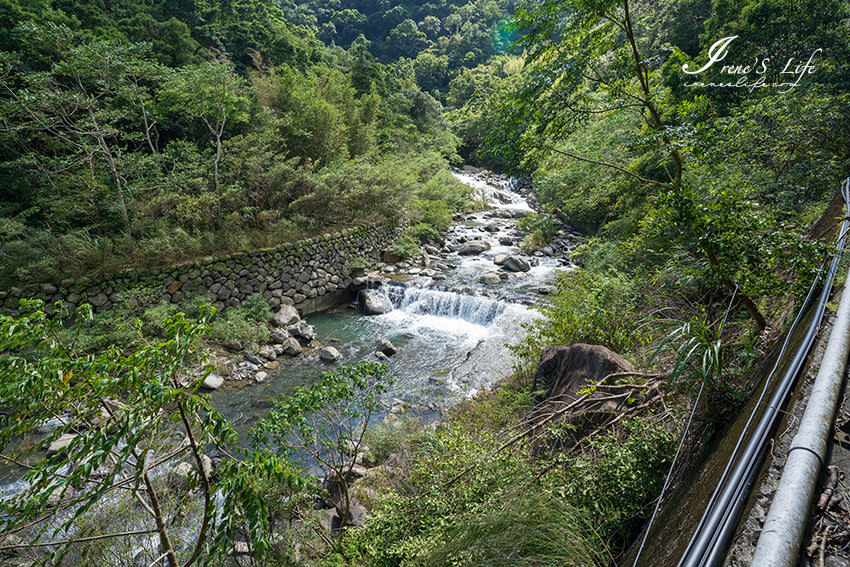 新北三峽｜滿月圓國家森林遊樂區