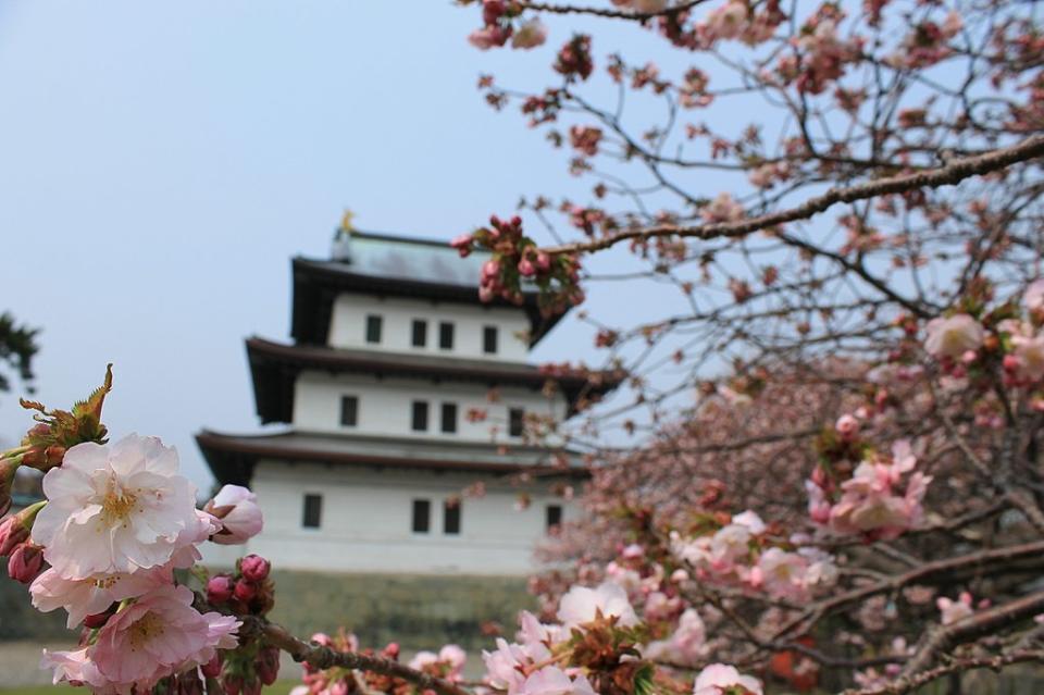 松前城 (Photo by pakku, License: CC BY 3.0, Wikimedia Commons提供, 圖片來源web.archive.org/web/20161031150737/http://www.panoramio.com/photo/119240758)