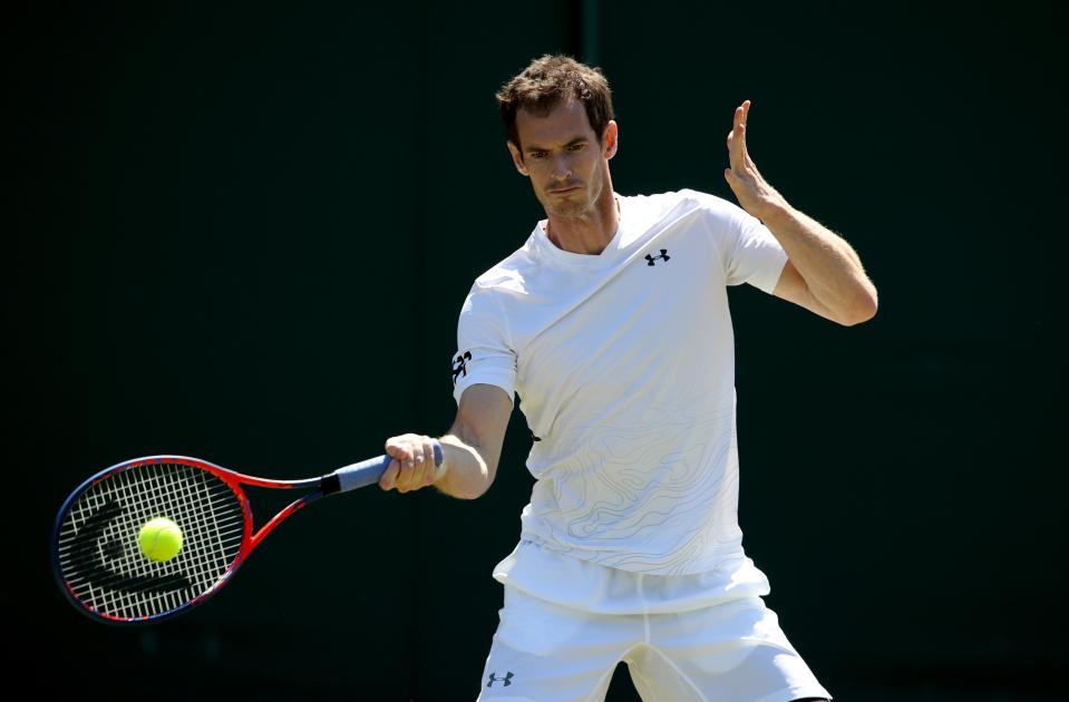 Andy Murray has announce he will miss Wimbledon