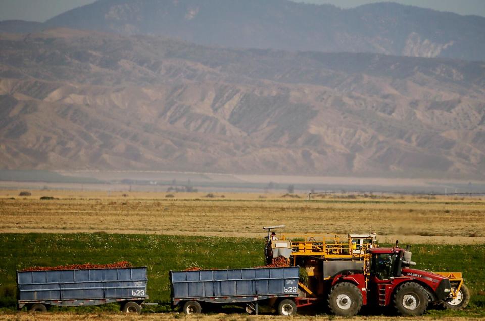 A mechanical harvester collects carrots from a field in the Cuyama Valley.