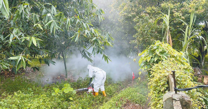 古坑鄉荷苞山周圍竹園的病媒蚊密度頗高。（圖／周麗蘭攝）