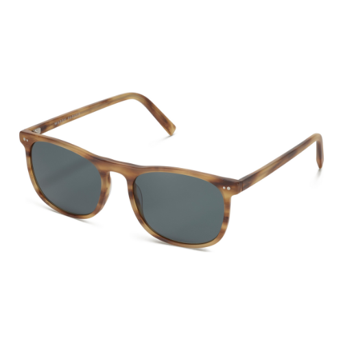 Warby Parker Alvin