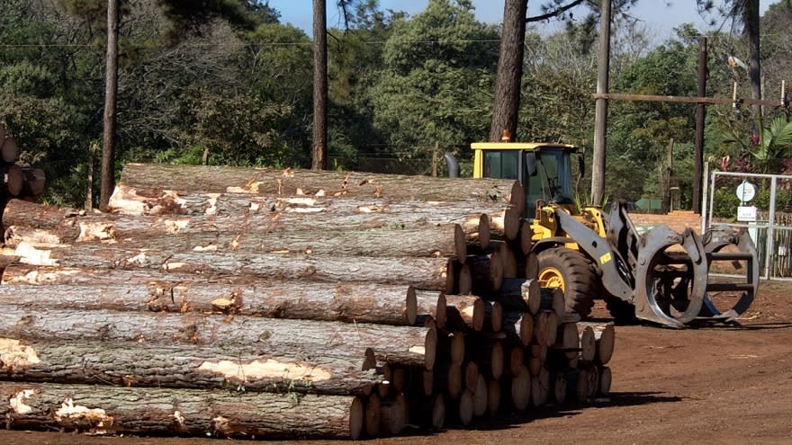 ociedades Empresas Verdes Argentina S.A.; Las Misiones S.A. y Estancia Celina S.A. que poseen más de 88.000 hectáreas de activos forestales.