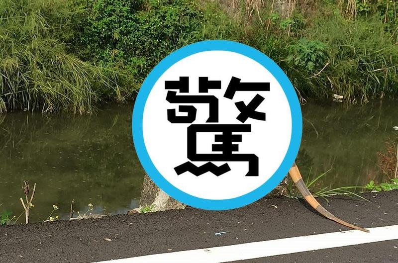 屏東路邊驚見一隻「巨獸」嚇死經過路人。（翻攝自屏東縣萬丹鄉交流地臉書）