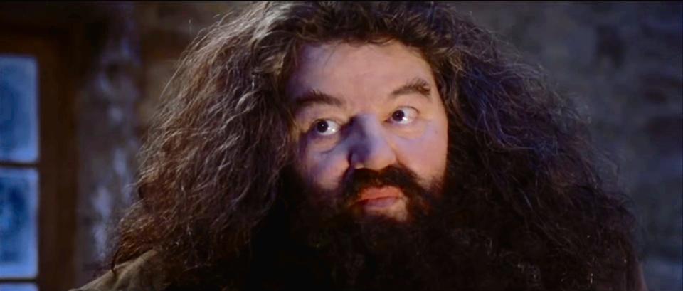 Hagrid