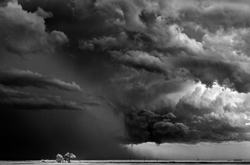 Mitch Dobrowner