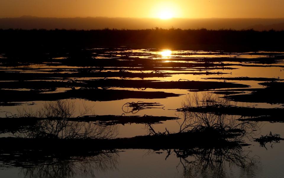 A salt marsh reflects the setting sun in the Colorado River Delta in Mexico.