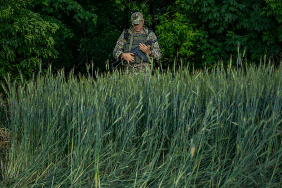 An Ukrainian soldier in his pòsition surrounded with wheat plants near the frontlines of the Zaporizhzhia province, Ukraine.<span class="copyright">Celestino Arce/NurPhoto via Getty Images</span>