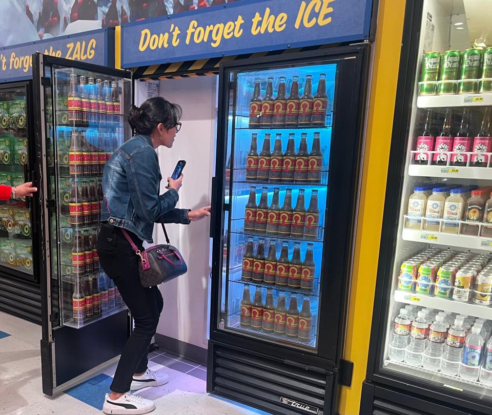 A tourist entering through the freezer.