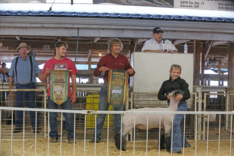 The Sandusky County Fair in 2023 included a variety of livestock shows and 4-H members and other youths had their animals on display.