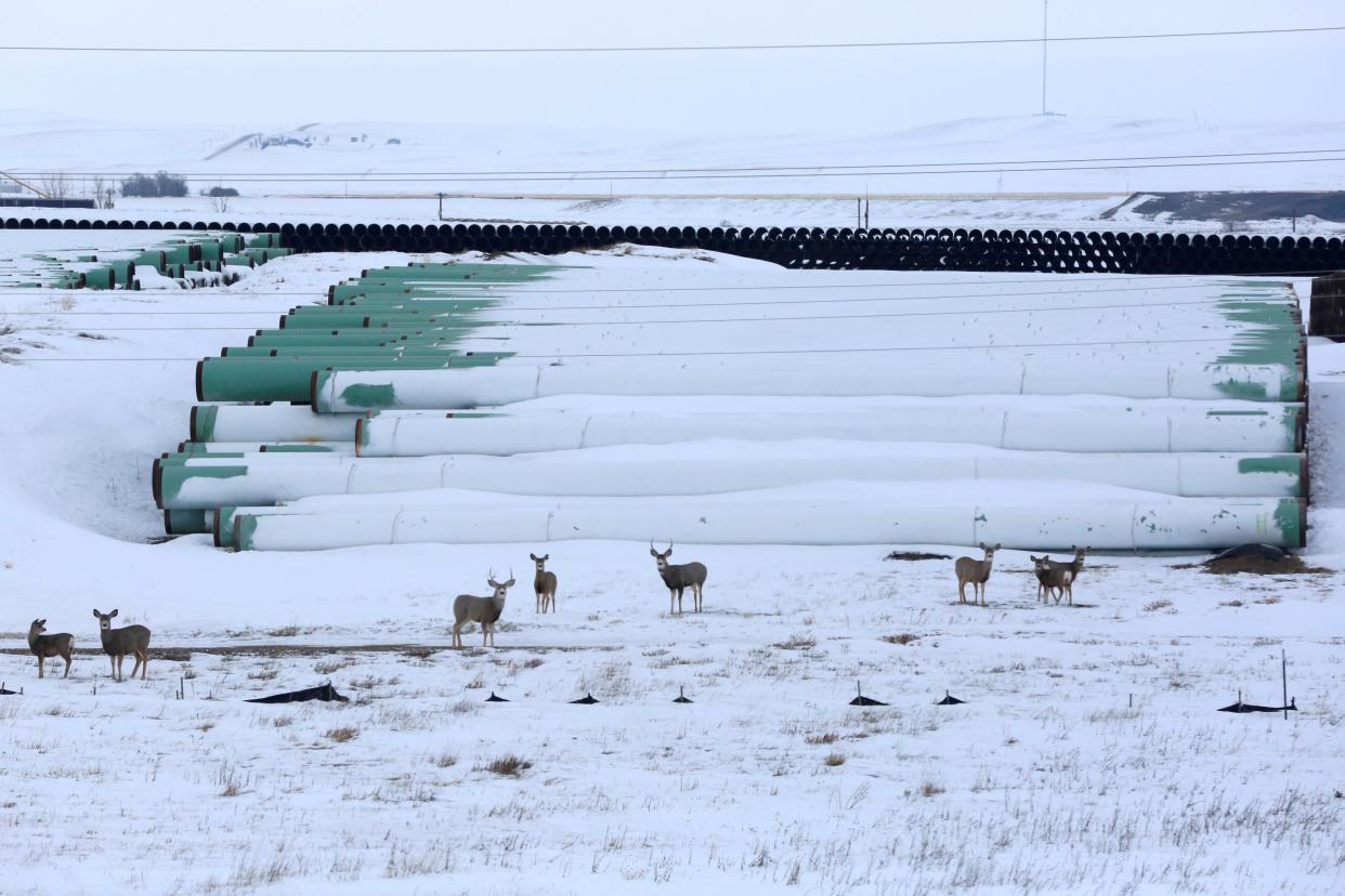 <p>A depot used to store pipes for TC Energy Corp’s planned Keystone XL oil pipeline is seen in Gascoyne, North Dakota, January 25, 2017</p> (REUTERS)