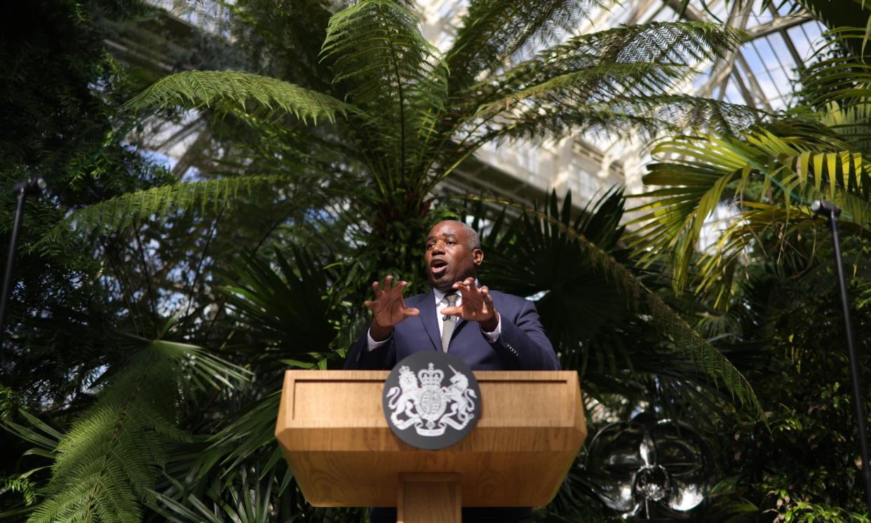 <span>David Lammy gives a speech at Kew Gardens, London, on Tuesday.</span><span>Photograph: Neil Hall/EPA</span>