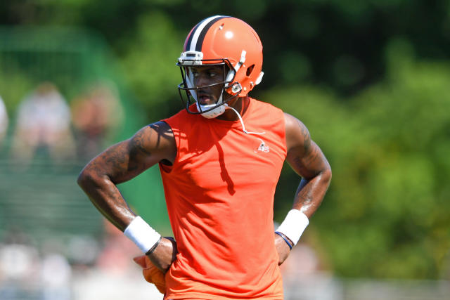 N.F.L. Names Advisor to Hear Deshaun Watson Appeal - The New York