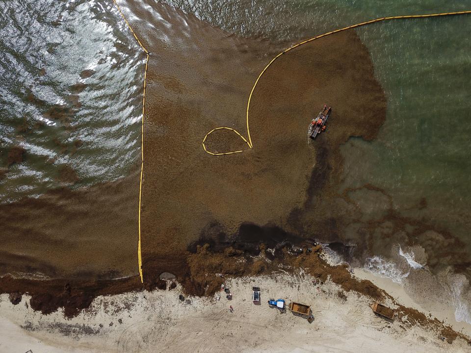 SOLIDARIDAD, QUINTANA ROO, 12JULIO2019.- Toneladas de sargazo son retiradas diariamente en Playa del Carmen, uno de los destinos turísticos que más afectados se han visto con este fenómeno natural. Trabajadores realizan la labor desde las seis de la mañana y hasta por doce horas. Retiran el alga con azadones y no se utiliza maquinaria pesada para erosionar lo menos posible la playa. FOTO: ISAAC ESQUIVEL /CUARTOSCURO.CON