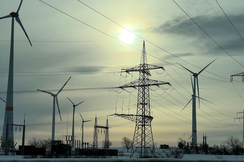 FILE PHOTO: Power-generating windmill turbines and power lines are seen in a snow-covered wind park in Krauschwitz