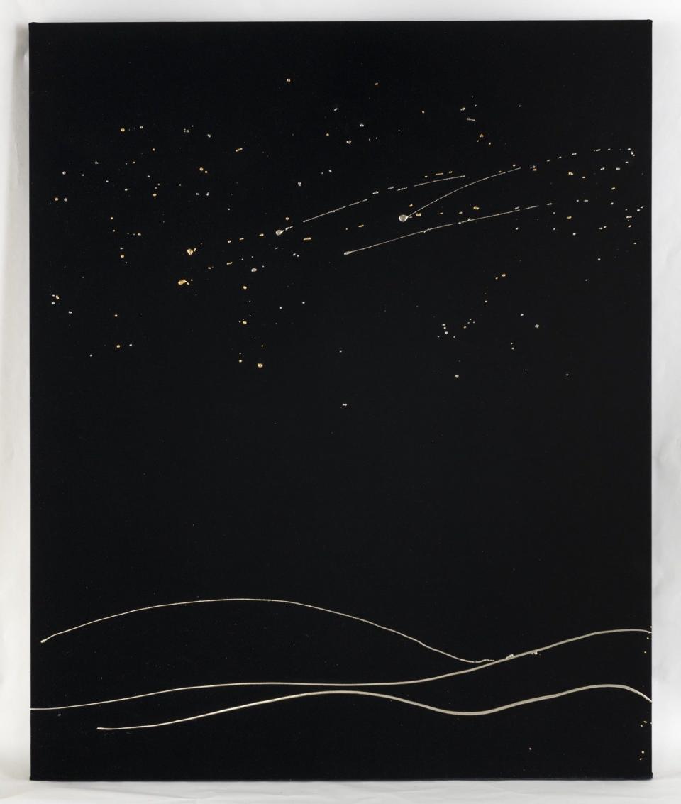 "Midnight Velvet" (2021), by Nancy Lorenz.